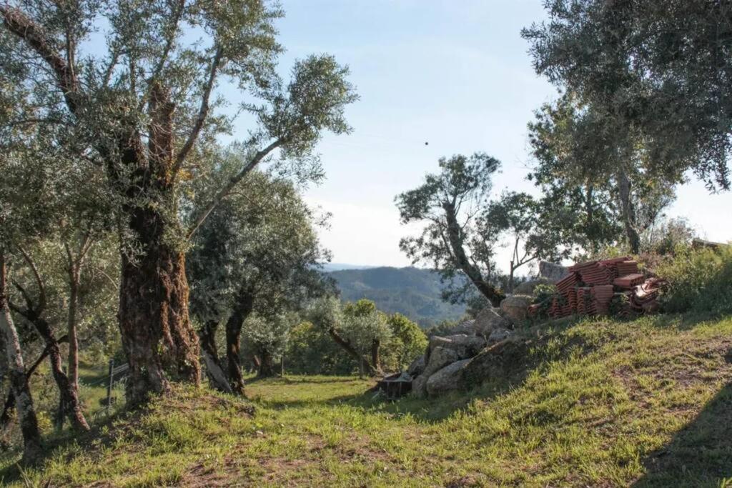 Cantinho Da Pereira Lugar Esterno foto