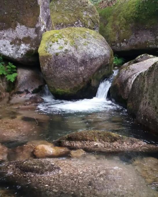 Cantinho Da Pereira Lugar Esterno foto
